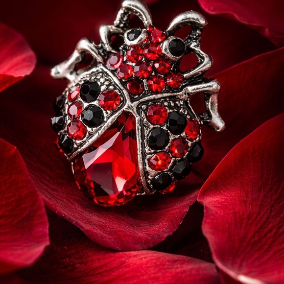 Ladybug Pin/Booch - Picture 3 of 3